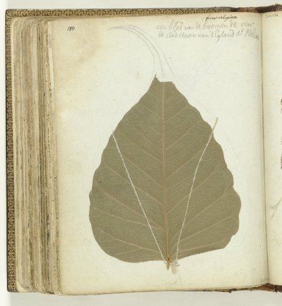Feuille d