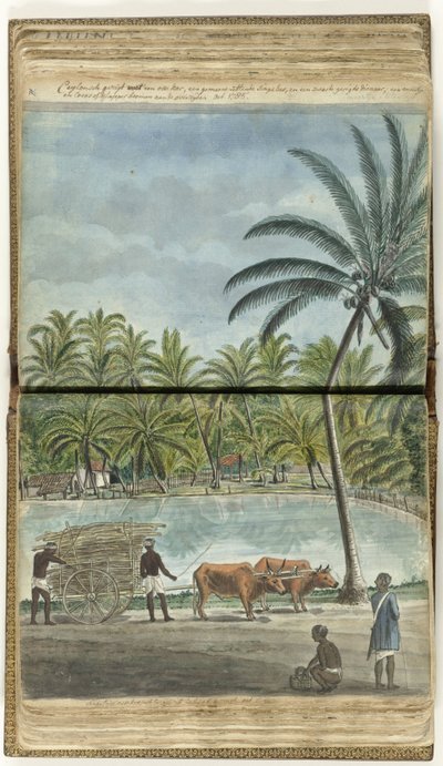Vue de Ceylan avec une charrette à bœufs, un Cinghalais accroupi et un huissier noir - Jan Brandes