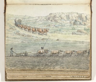 Attelage de bœufs pour chariot et pour charrue - Jan Brandes