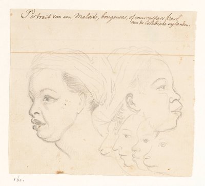 Portrait d