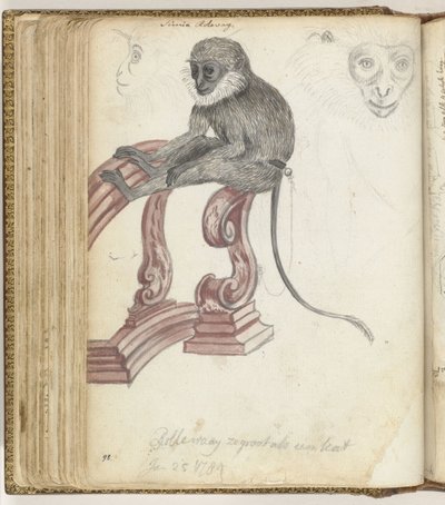 Singe Rolleway - Jan Brandes