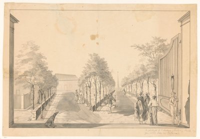 Jardin et allée d