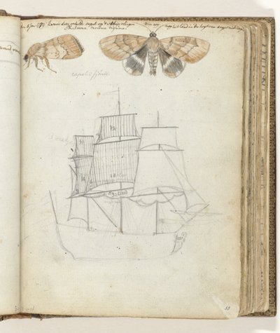 Papillon et navire - Jan Brandes