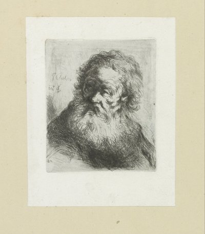 Vieil homme avec une barbe - Jan Chalon