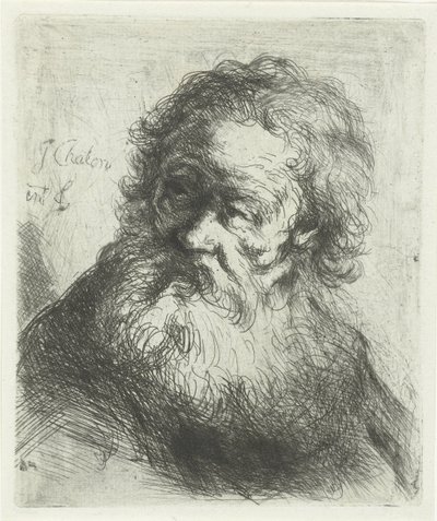 Vieil homme avec barbe - Jan Chalon
