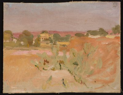 Rosa Landschaft mit Kakteen. Aus einer Reise nach Indien - Jan Ciągliński