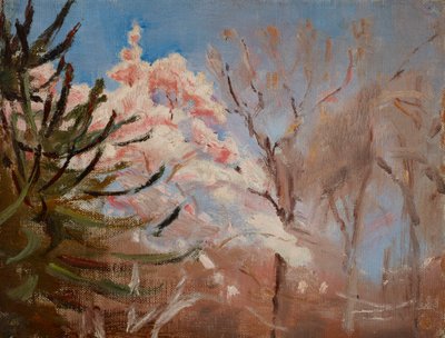 Le brochet (printemps) - Jan Ciągliński
