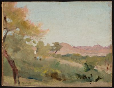 Udaipur - paysage indien. D