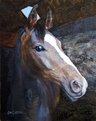 Cheval dans l