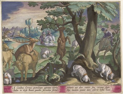 Chasse au cerf avec des chiens - Jan Collaert