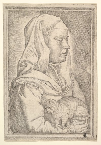 Fille avec un chat - Jan Cornelisz Vermeyen