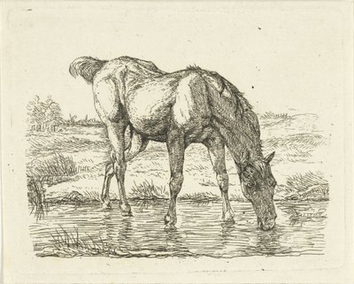 Cheval buvant - Jan Dasveldt