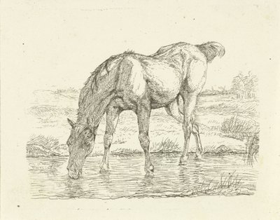 Cheval buvant - Jan Dasveldt
