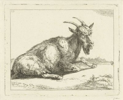 Chèvre - Jan Dasveldt