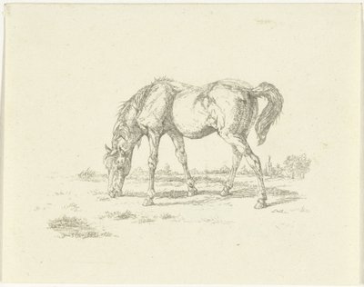 Cheval broutant vers la droite - Jan Dasveldt