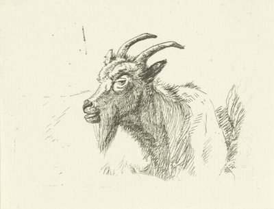 Chèvre couchée - Jan Dasveldt