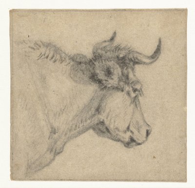 Tête de bœuf - Jan Dasveldt