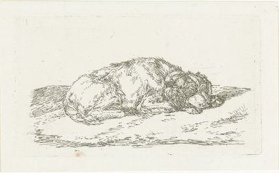 Chien endormi avec la tête reposant sur les pattes avant - Jan Dasveldt