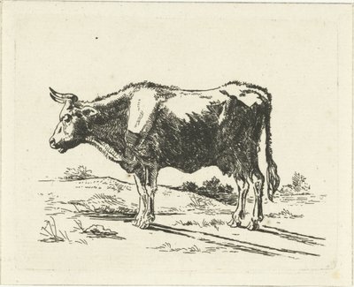 Vache debout - Jan Dasveldt