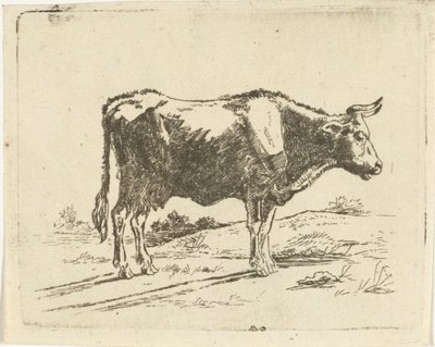 Vache debout - Jan Dasveldt