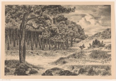 Forêt dans un paysage vallonné - Jan Fekkes (signed by artist)