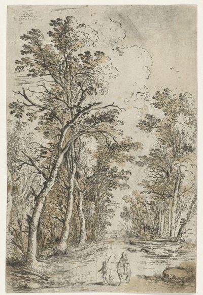 Sentier forestier - Jan Fouceel