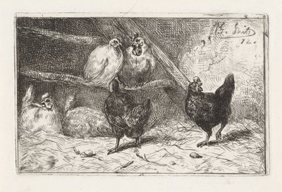 Coq et cinq poules dans un enclos - Jan Gerard Smits