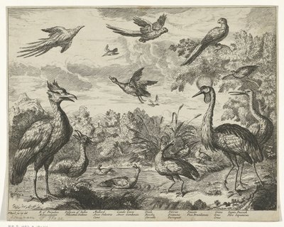 Différents oiseaux dans un paysage - Jan Griffier (I) (copy after)