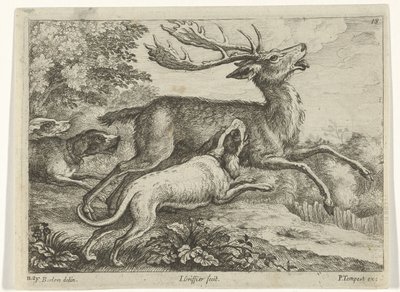 Chasse au cerf - Jan Griffier (I)