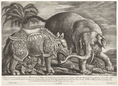Éléphant et rhinocéros - Jan Griffier (I)