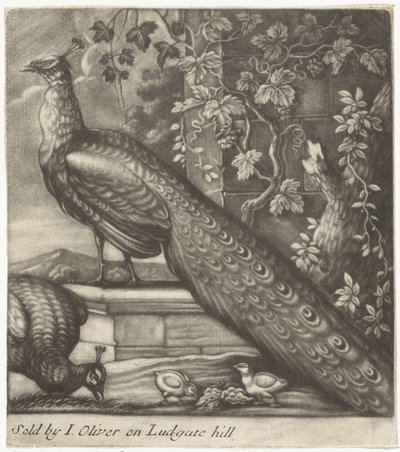 Paons - Jan Griffier (I)