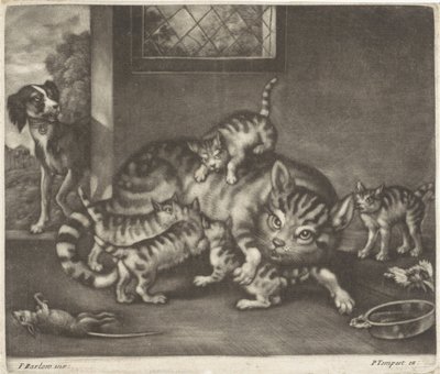 Chat avec cinq chatons - Jan Griffier (I)