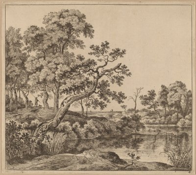 Paysage avec un arbre courbé - Jan Hackaert