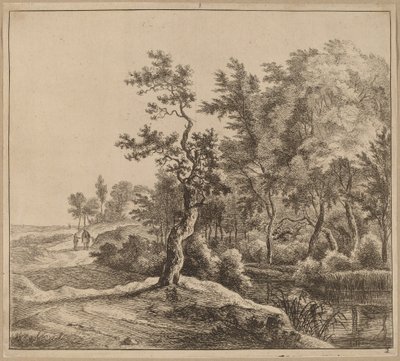 Paysage avec une route sinueuse - Jan Hackaert