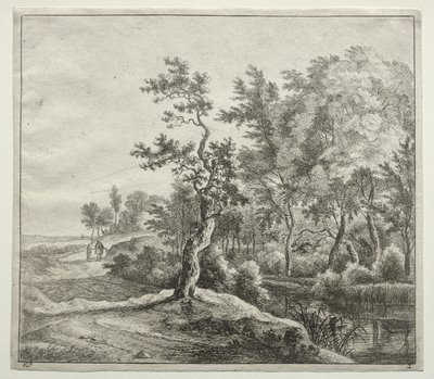 La route de la Serpentine - Jan Hackaert