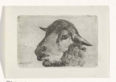Tête de mouton - Jan Heppener