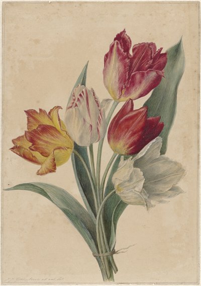 Bouquet de tulipes - Jan Jacob Goteling Vinnis