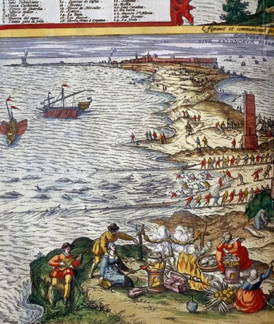 Scène de pêche et préparation du poisson à Cadix - Jan Janssonius