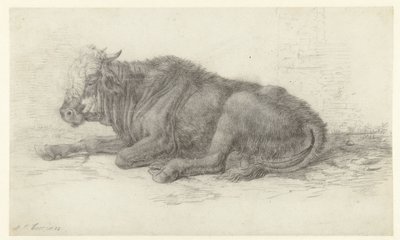 Vache couchée - Jan Joost van Cossiau