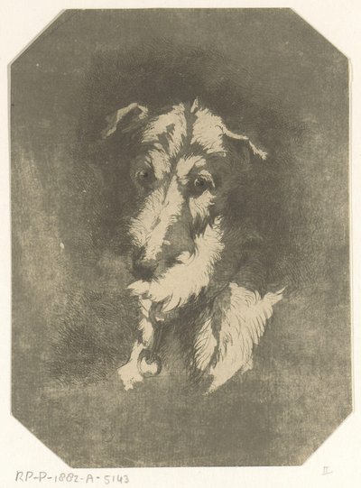Tête de lévrier - Jan Karel Jacob de Jonge