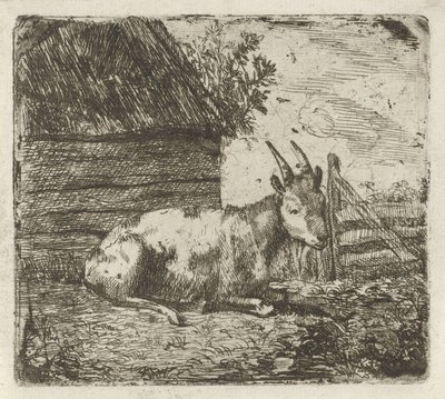 Bouc près d