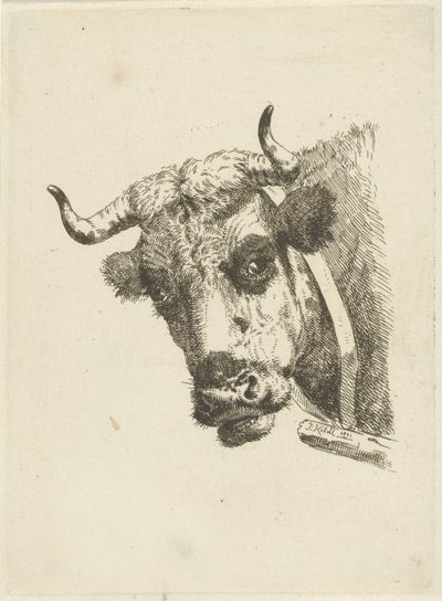 Tête de vache - Jan Kobell (II)