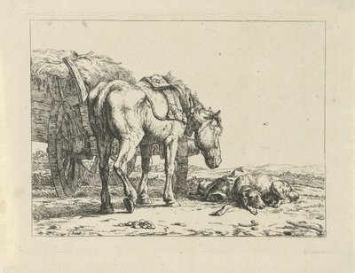 Cheval et chien près d