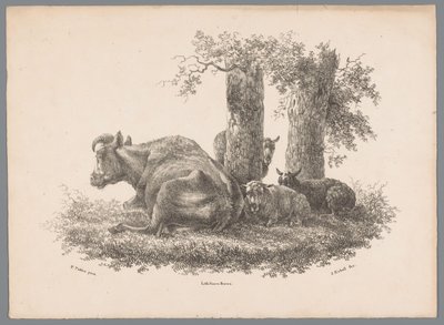 Une vache et trois moutons - Jan Kobell (III)