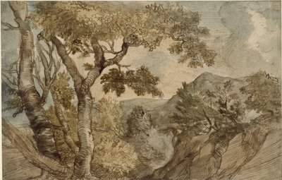 Paysage montagneux avec groupe d
