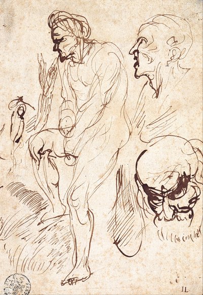 Études après le modèle - Jan Lievens