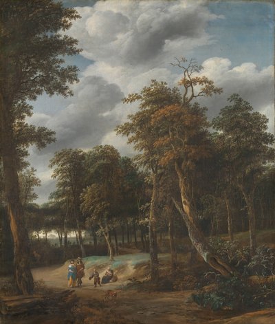 Route forestière - Jan Looten