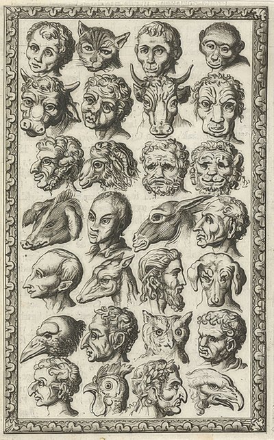 28 têtes d