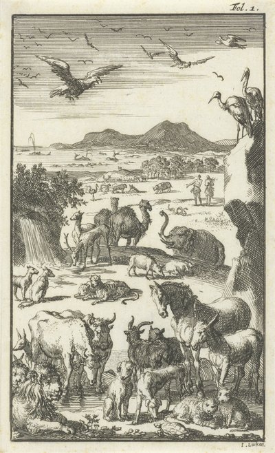 La création - Jan Luyken