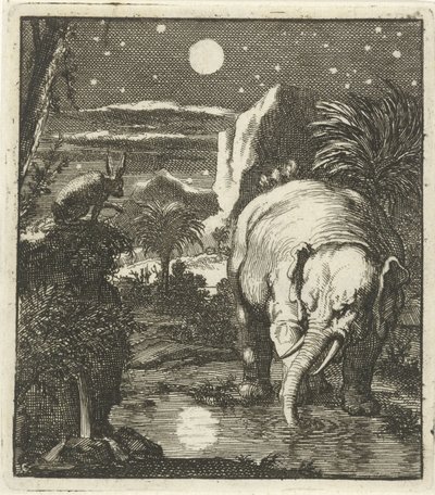 Lièvre et éléphant avec pleine lune près d